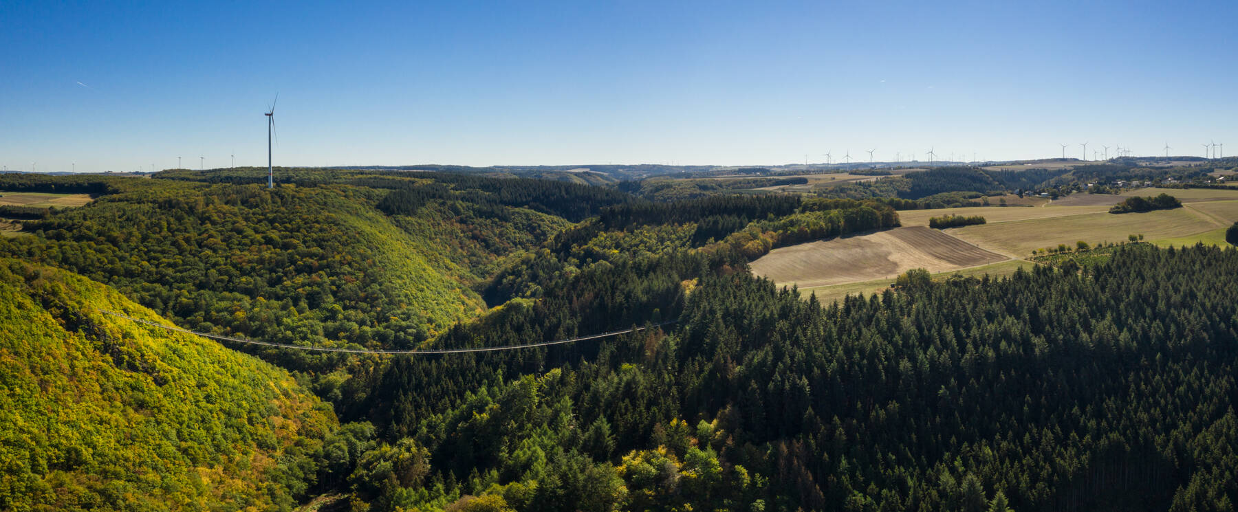 Merian 2018 Hunsrück 098 Hängeseilbrücke Geierlay Mörsdorf