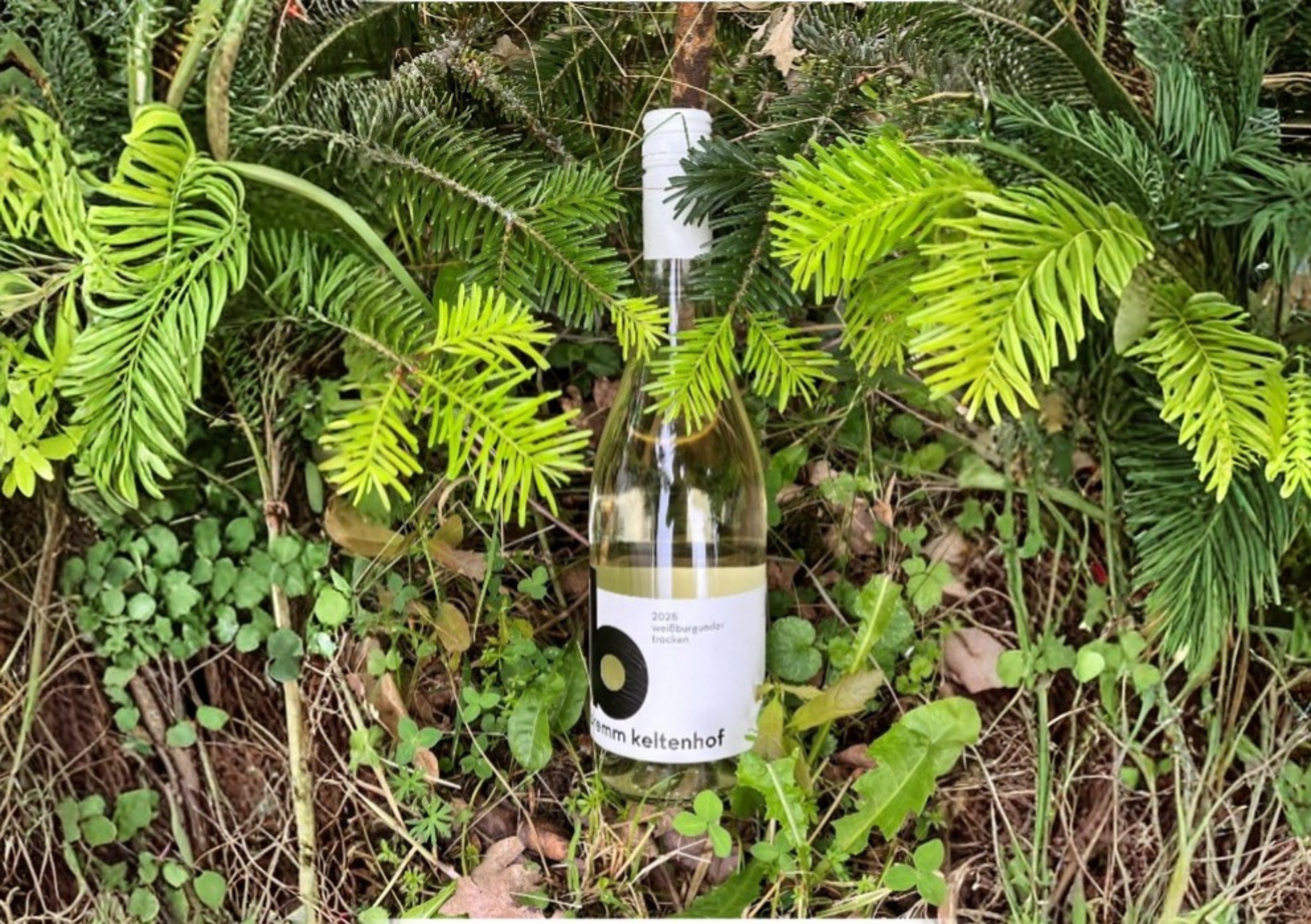 Weinwanderung Geierlay