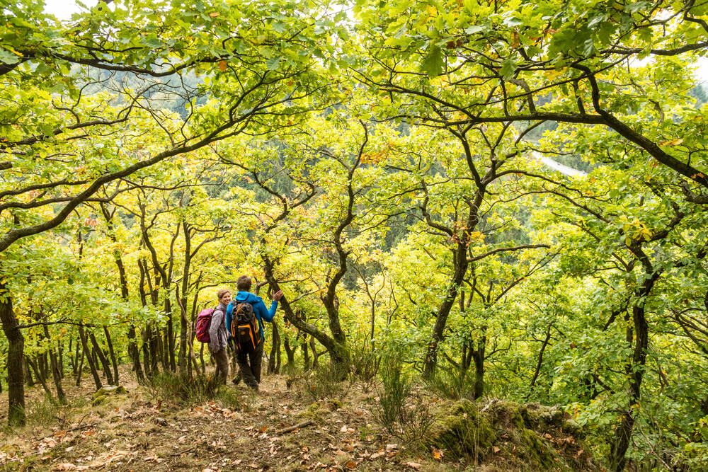Hiking Trails