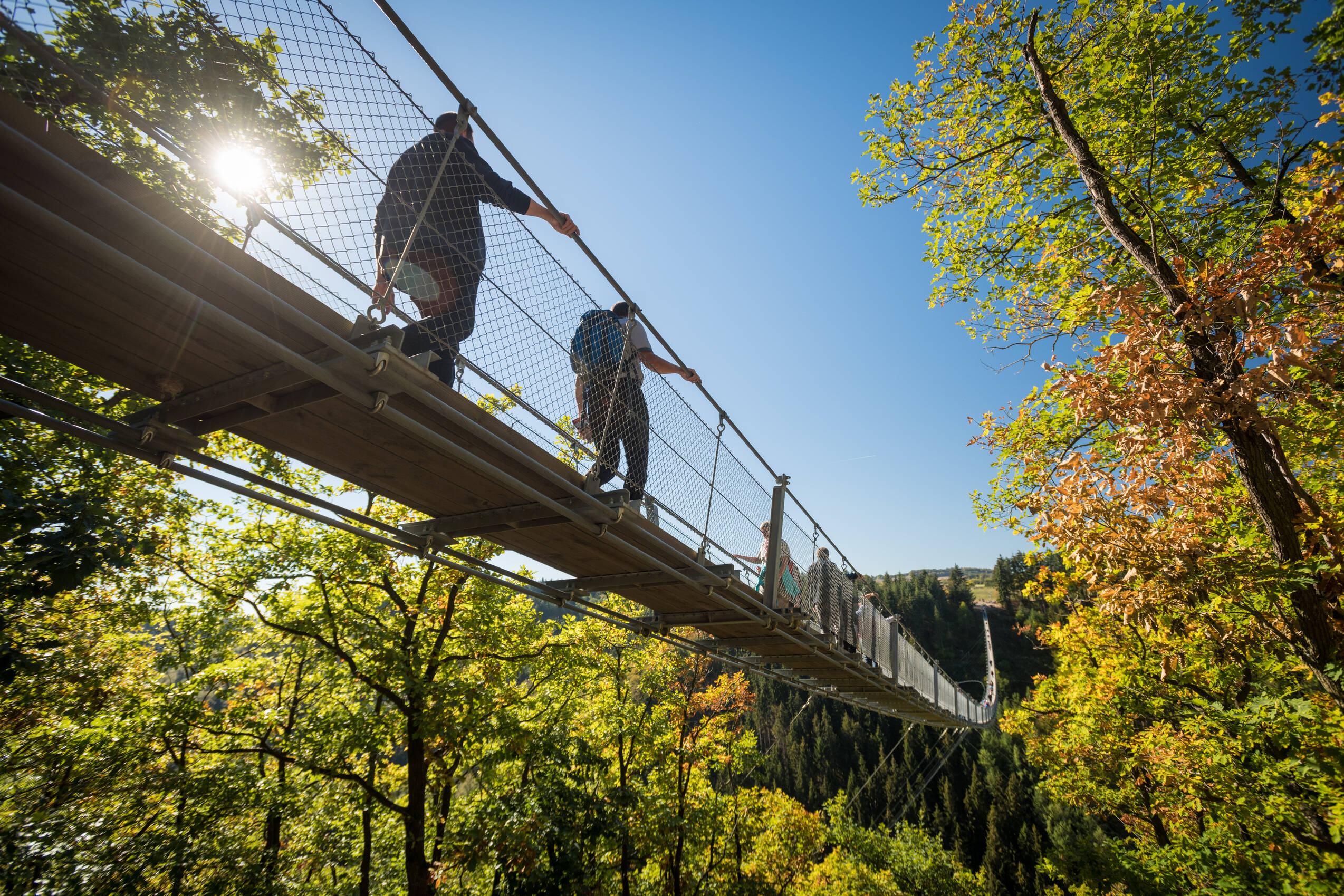 Merian 2018 Hunsrück 084 Hängeseilbrücke Geierlay Mörsdorf