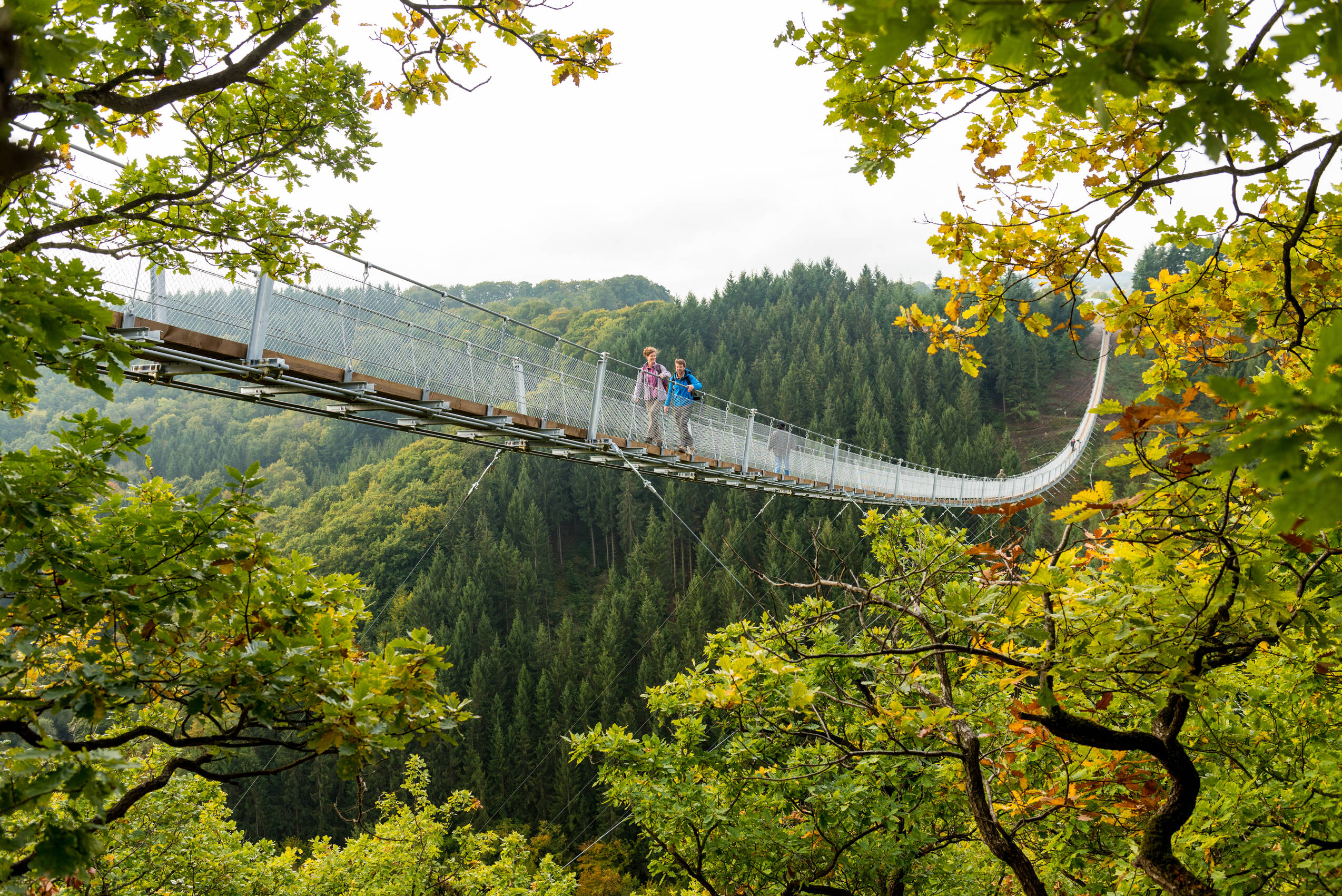 Geierlay 2015 046©Dominik Ketz