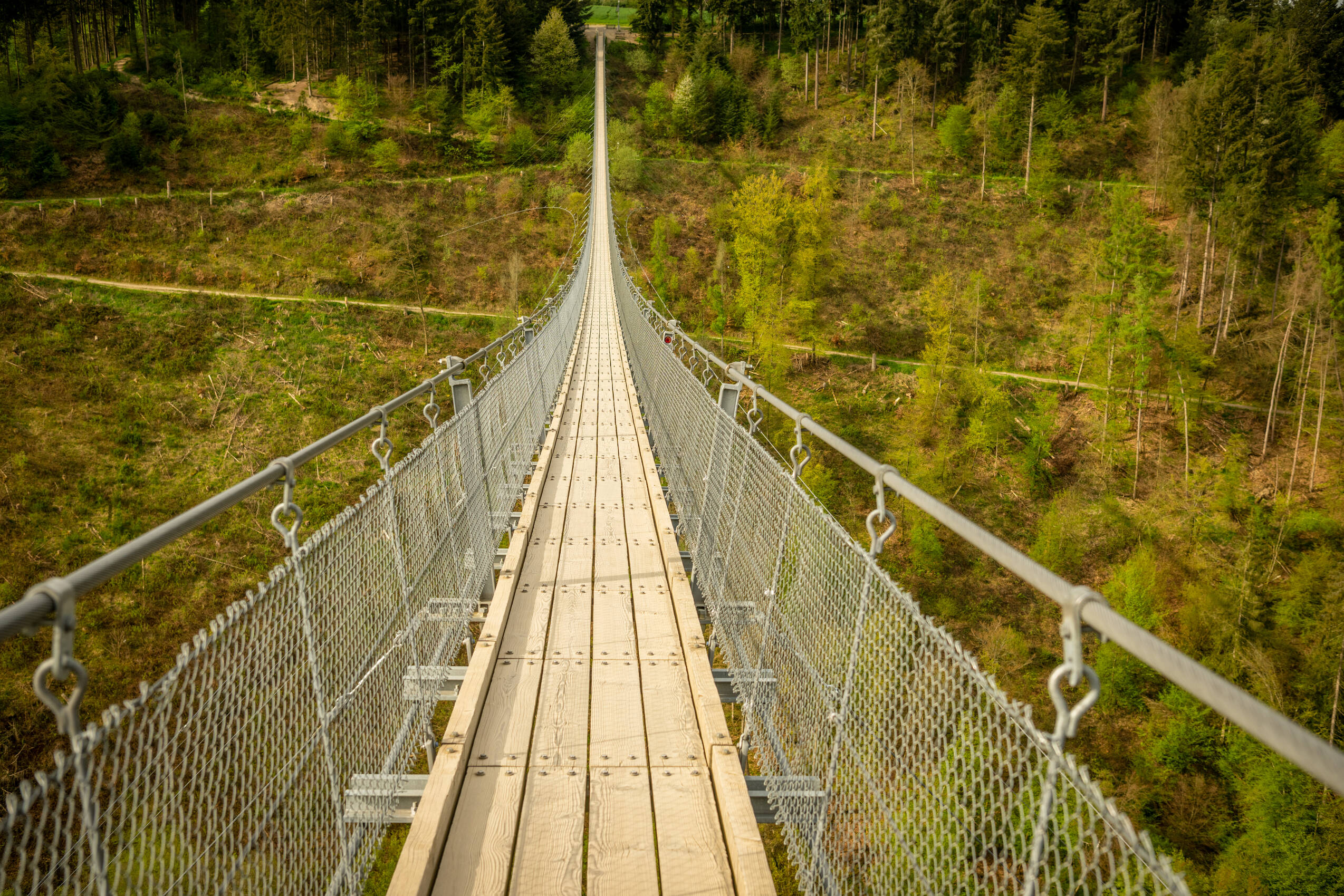 Saar Hunsrück Steig 2023 375 Geierlay Hängeseilbrücke, Mörsdorf